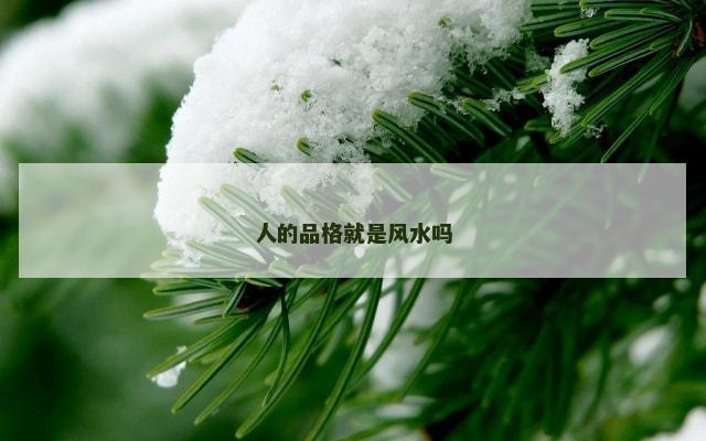 人的品格就是风水吗
