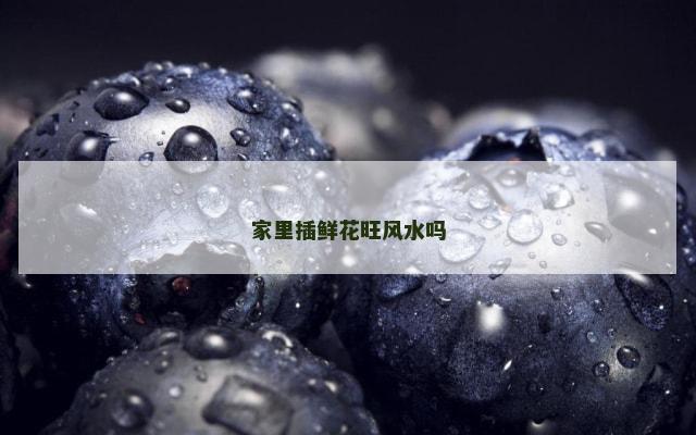 家里插鲜花旺风水吗