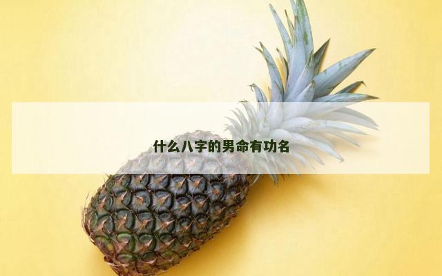 什么八字的男命有功名