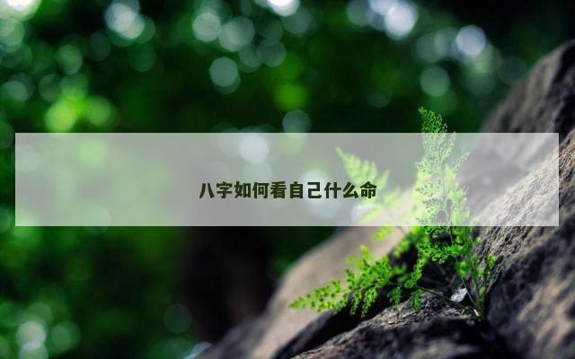 八字如何看自己什么命