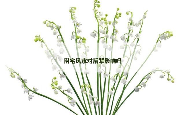 阴宅风水对后辈影响吗