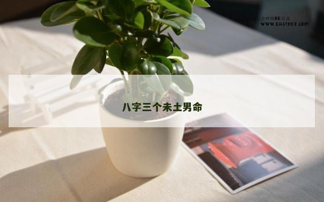 八字三个未土男命