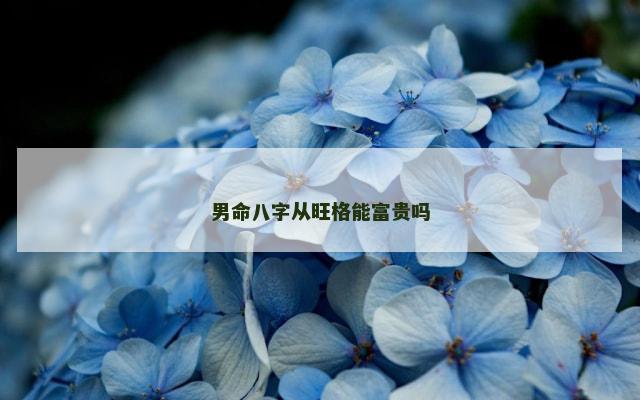 男命八字从旺格能富贵吗
