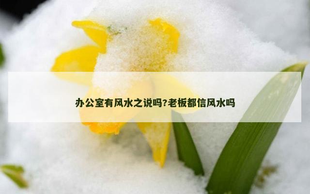 办公室有风水之说吗?老板都信风水吗