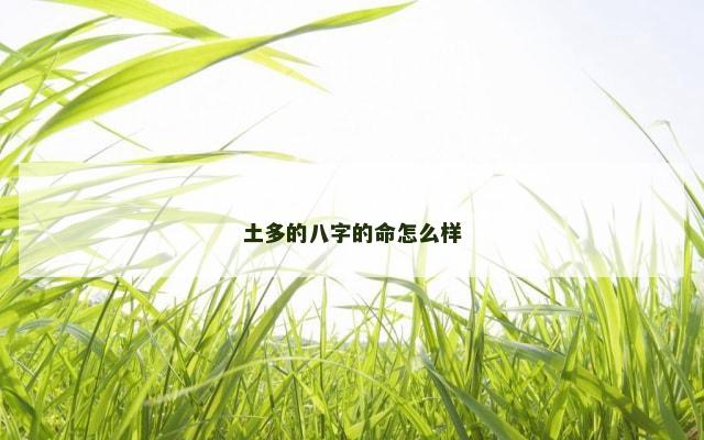 土多的八字的命怎么样