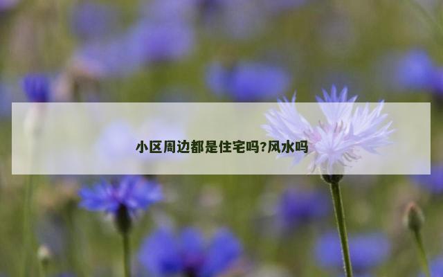 小区周边都是住宅吗?风水吗