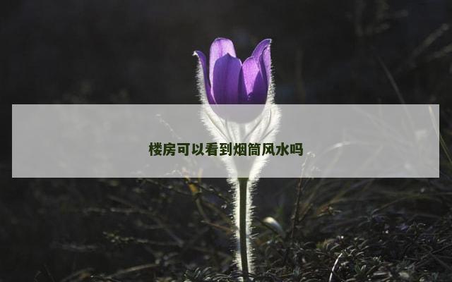 楼房可以看到烟筒风水吗