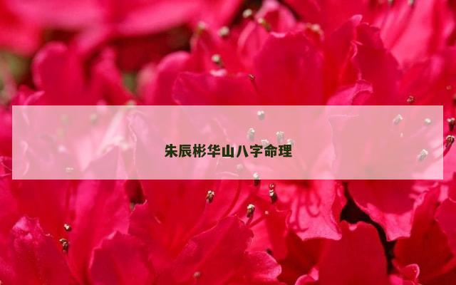 朱辰彬华山八字命理