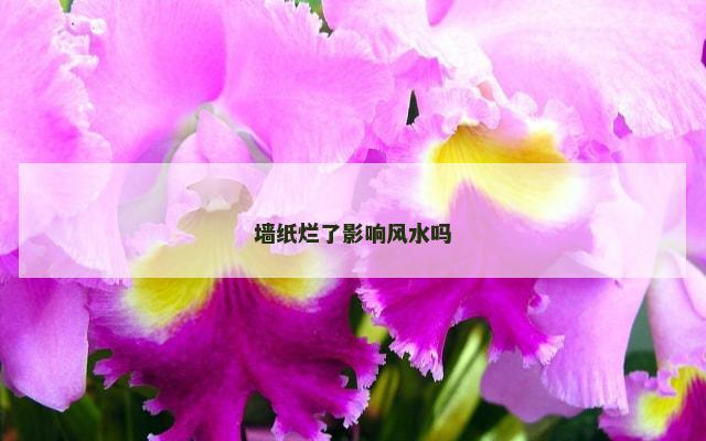 墙纸烂了影响风水吗