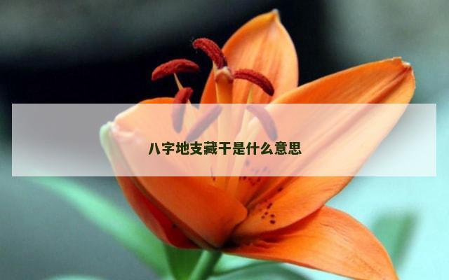 八字地支藏干是什么意思
