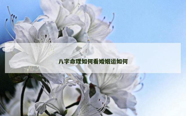 八字命理如何看婚姻运如何