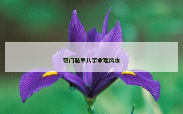 奇门遁甲八字命理风水