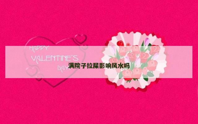 满院子拉屎影响风水吗