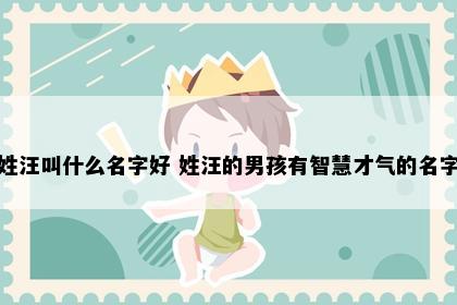 姓汪叫什么名字好 姓汪的男孩有智慧才气的名字