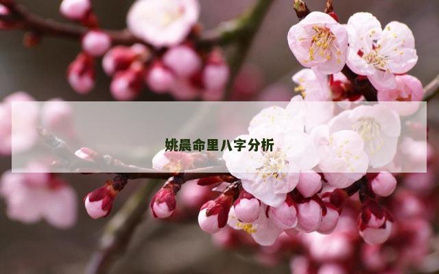 姚晨命里八字分析