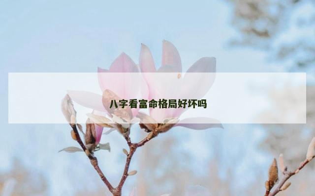 八字看富命格局好坏吗