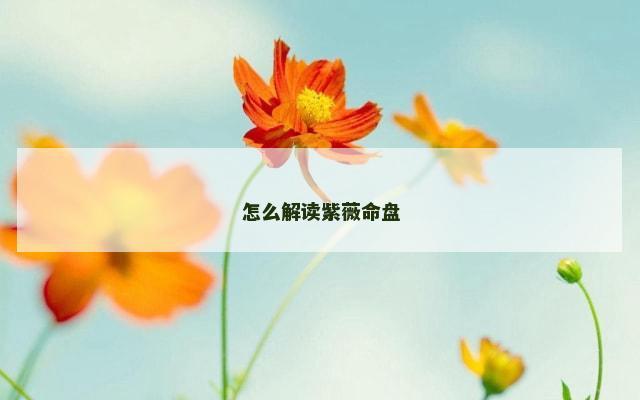怎么解读紫薇命盘