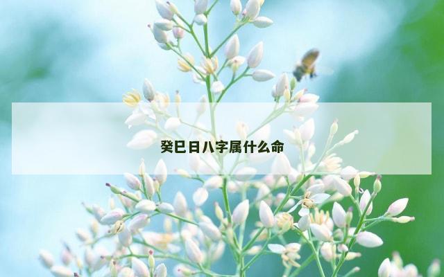 癸巳日八字属什么命