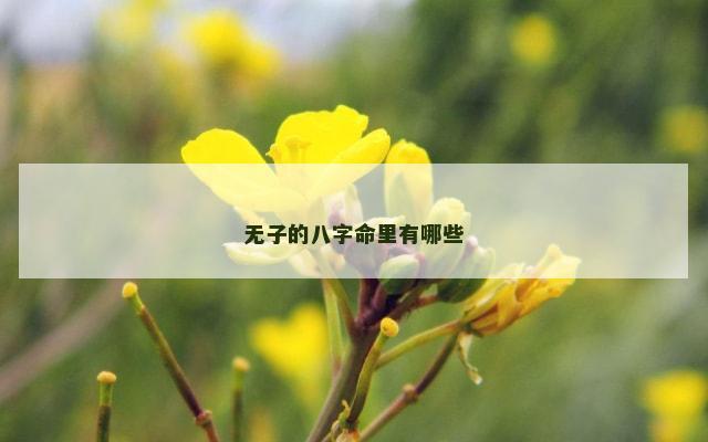 无子的八字命里有哪些