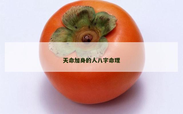 天命加身的人八字命理