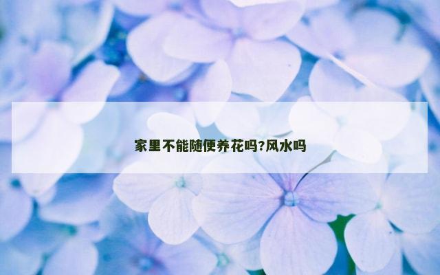 家里不能随便养花吗?风水吗