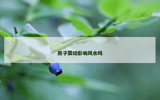房子震动影响风水吗