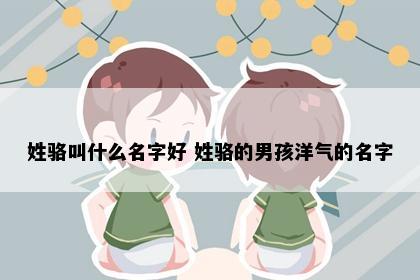 姓骆叫什么名字好 姓骆的男孩洋气的名字