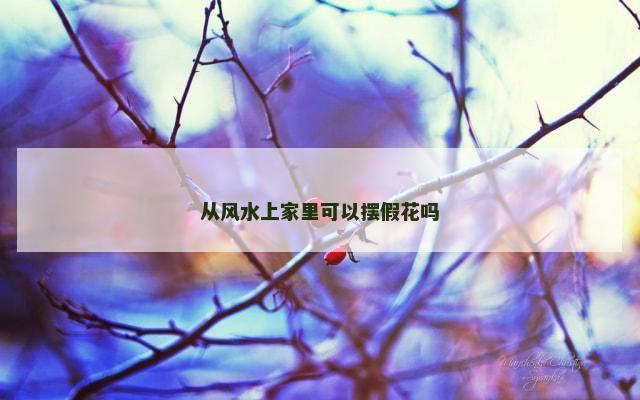 从风水上家里可以摆假花吗