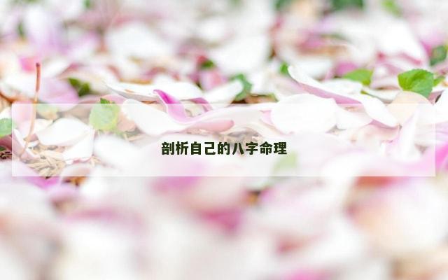 剖析自己的八字命理