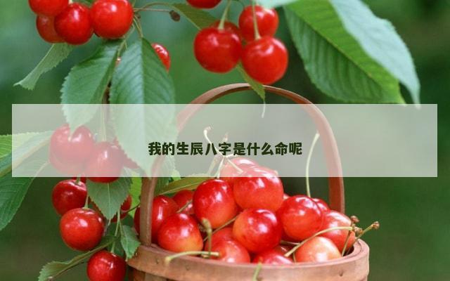 我的生辰八字是什么命呢