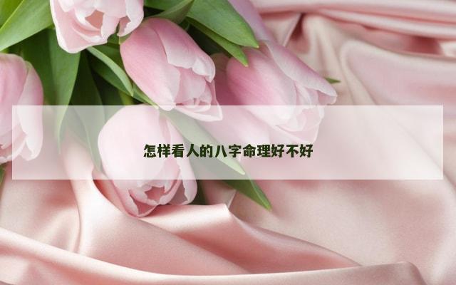 怎样看人的八字命理好不好