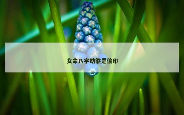 女命八字劫煞是偏印