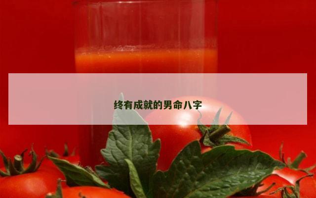 终有成就的男命八字