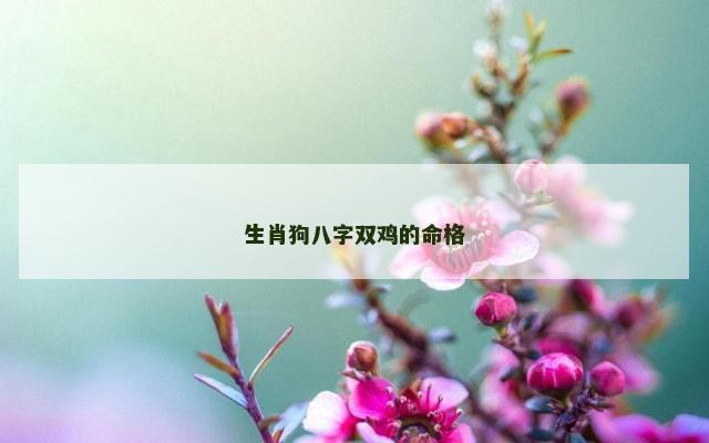 生肖狗八字双鸡的命格