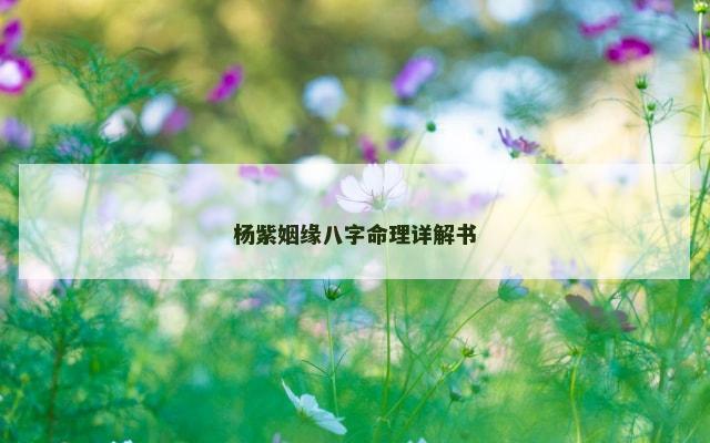 杨紫姻缘八字命理详解书