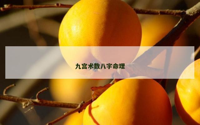 九宫术数八字命理