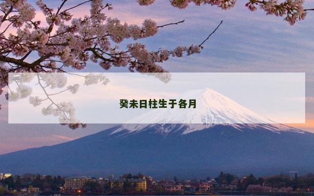 癸未日柱生于各月