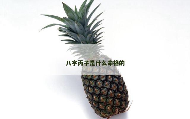 八字丙子是什么命格的