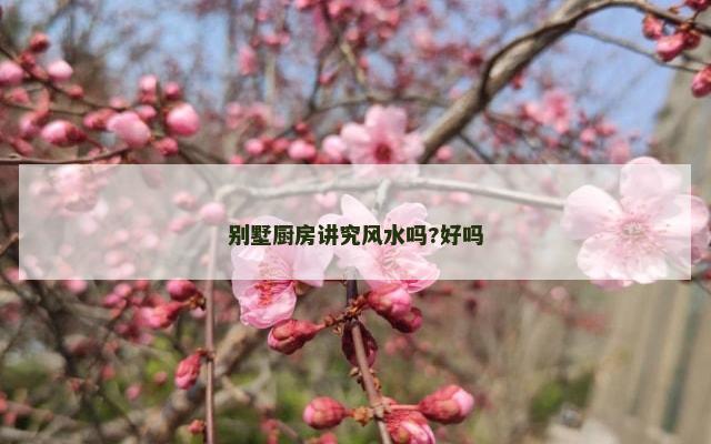 别墅厨房讲究风水吗?好吗