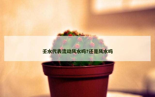 壬水代表流动风水吗?还是风水吗