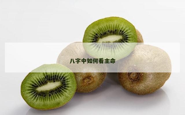 八字中如何看主命