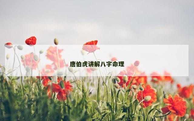 唐伯虎讲解八字命理