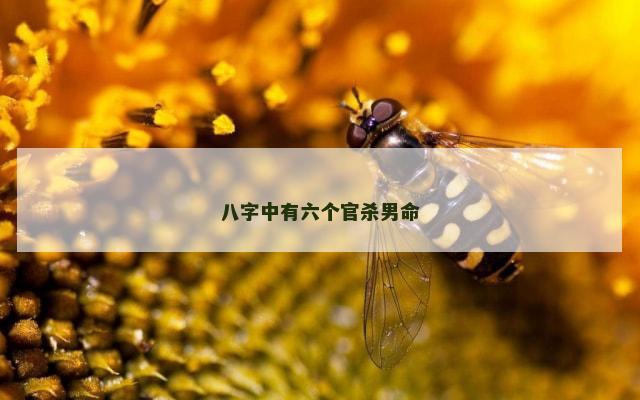 八字中有六个官杀男命