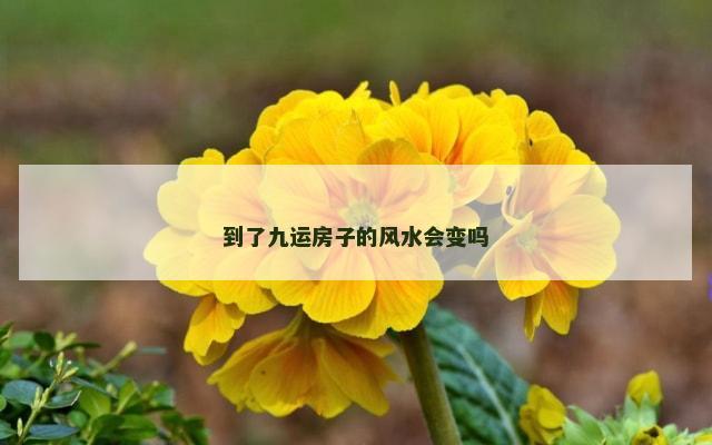 到了九运房子的风水会变吗