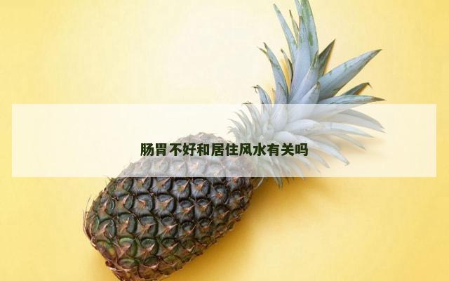 肠胃不好和居住风水有关吗
