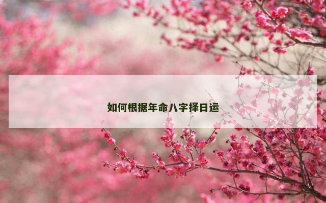 如何根据年命八字择日运