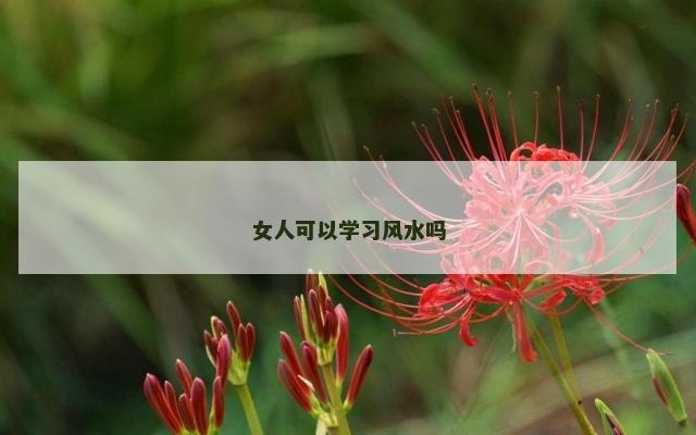 女人可以学习风水吗