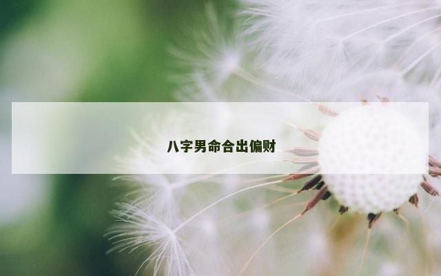 八字男命合出偏财