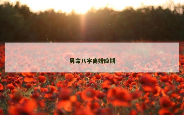 男命八字离婚应期