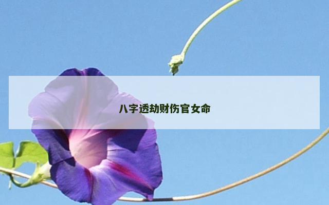 八字透劫财伤官女命